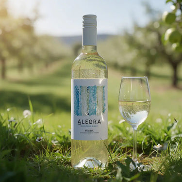 Hvidvins flakse i græsset - Alegra, Sauvignon Blanc 2025