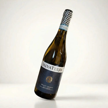 Salvaterra, Pinot Grigio DOC 2024 Vinnu