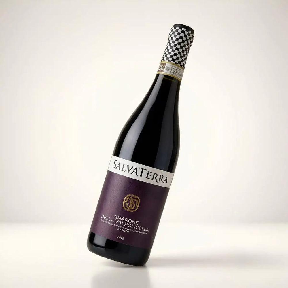 Salvaterra, Amarone della Valpolicella Classico DOCG 2019