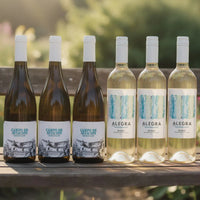 6 hvidvin på en bænk - Sauvignon Blanc hvidvinskasse